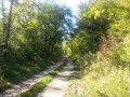 Joli passage forestier
