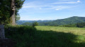 Joli paysage de la forêt noire