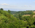 Joli paysage