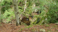 Joli petit ruisseau