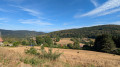 Boucle par la Cascade de l'Andlau et le Kreuzweg