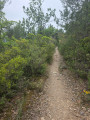 Nice single track