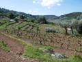 Jolie campagne