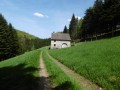 Jolie maison entourée de sapins