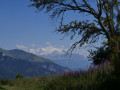Jolie vue Jolie vue