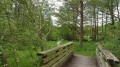 Jolis petits ponts de bois