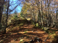 Journée d'automne