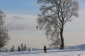 Winterwanderweg Obere Stuhlsebene (Nr. 4)