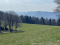 Kaelberhuette-Hohwald