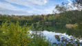 Durch den Käfertaler Wald (2)