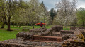 Kastell Würzberg