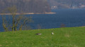 Kellersee bei Bad Malente