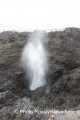 Kiama Blowhole