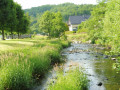 Kleine Nister in Limbach