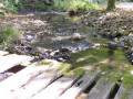 Kleine Nister Kleine Nister