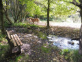 Kleiner Flusslauf Kleiner Flusslauf