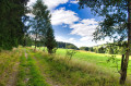 Kurzer Abschnitt am Waldrand