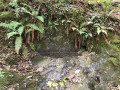 L'abreuvoir