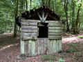 Im Wald von Mortehan: die vier Bäche, die Roche au Sel, die Gros Chêne En forêt du Mortehan : les 4 ruisseaux, la Roche au Sel, le Gros Chêne
