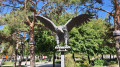 The Eagle