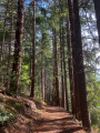 Le tour du Bois des Gaules