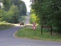 Forêt d'Eawy Les Ventes Saint Rémy