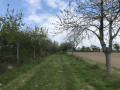 l'allée des pommiers