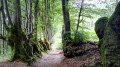 L'Allée des Sorcières