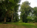 L'allée du château