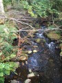 L'Alzeau