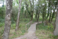 L'aménagement du sentier de découverte