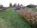 L'ancien moulin de l'Auriole