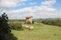 Le chemin de Massabrac