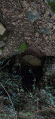 L'ancienne mine d'argentifère