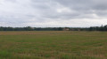 L'aouach