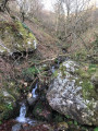 L'Aran