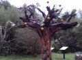 L'arbre aux oranges