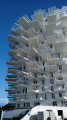 L'Arbre Blanc L'Arbre Blanc