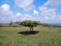 Le Mont Rignat et les sources de la Reyssouze