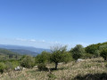 Arrival on the plateau