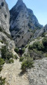 La crête des Alpilles