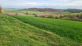 L'arrivée vers Château-Salins