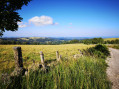 L'aubrac et les monts du Cantal