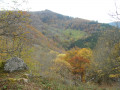 L'automne L'automne