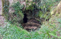 L'aven de la Taille Clergé.