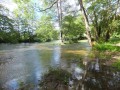 Muzy et ses berges de l'Avre. Muzy et ses berges de l'Avre.