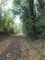 L'axe vert de la Thierache