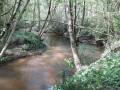 L'Eau Bourde
