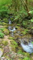 l'eau qui coule