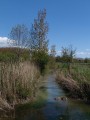 L'eau L'eau